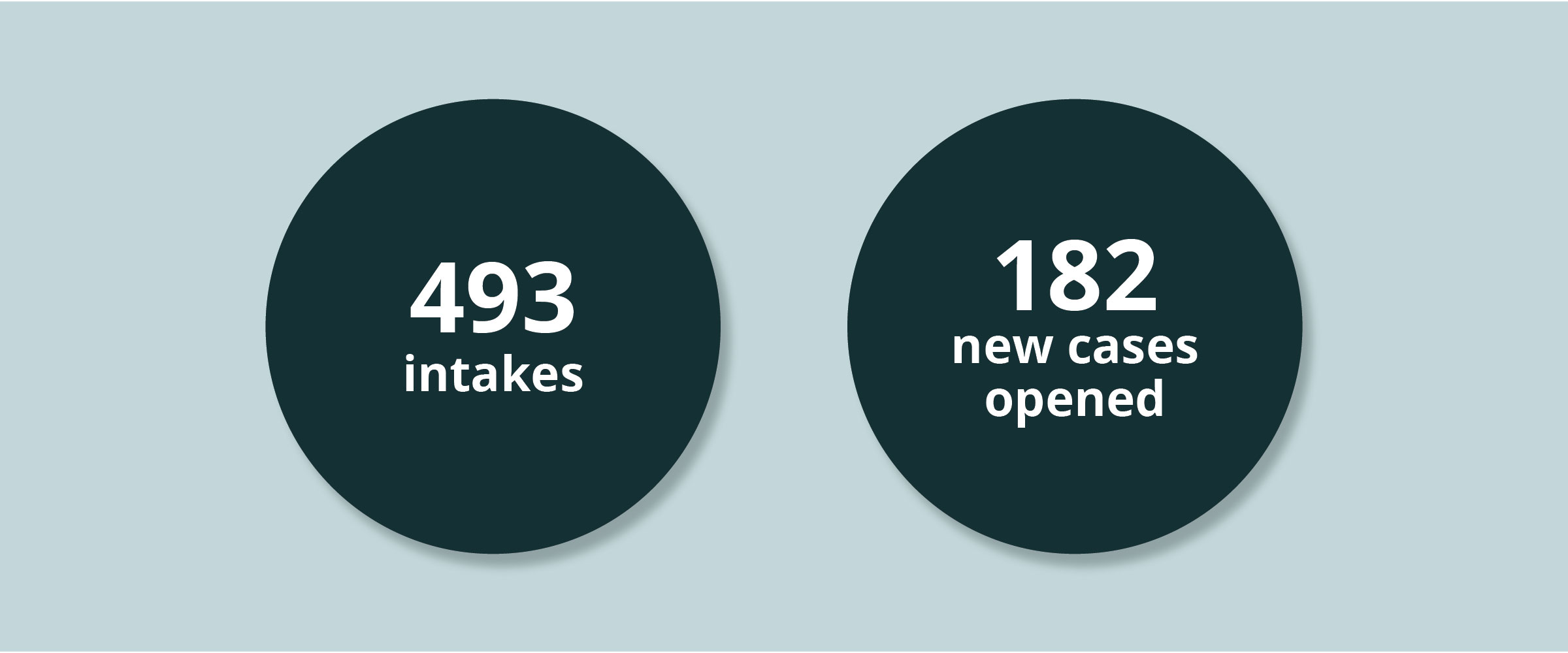 Stats: 493 intakes. 182 new cases opened.