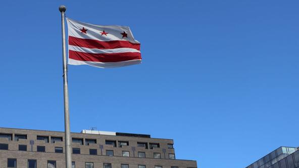 Washington, DC flag