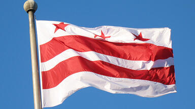 DC flag