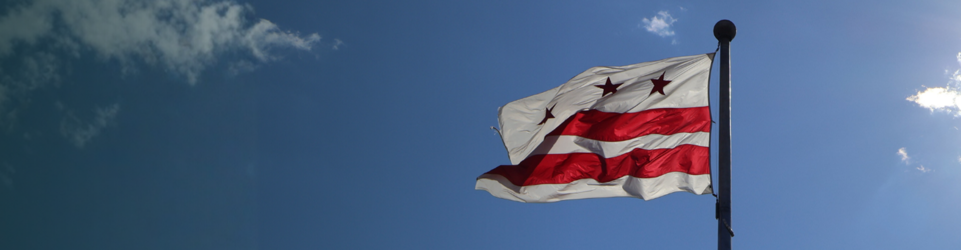 DC Flag